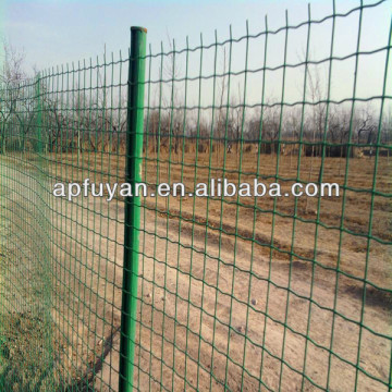 Favorites Compare Holland wire mesh/Dutch mesh/Plastic coated/galvanized welded mesh