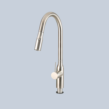 Stainless steel rotatable pull-out faucet shower head