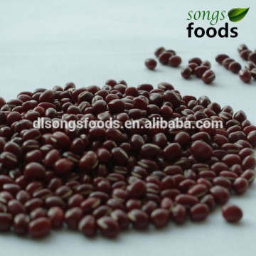 Red Kidney Beans Lentils Red Kidney Beans