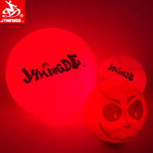 Glow in the dark light up playground ball