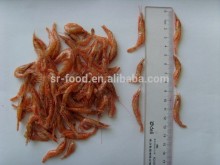 frozen dried small head on shrimp