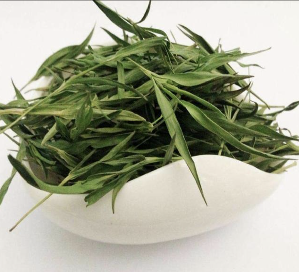 مورد مسحوق استخراج Lophatherum Lophatherum Extract Powder Supplier