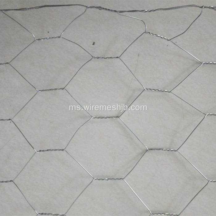 Mangkuk Galvanized Chicken Wire Mesh