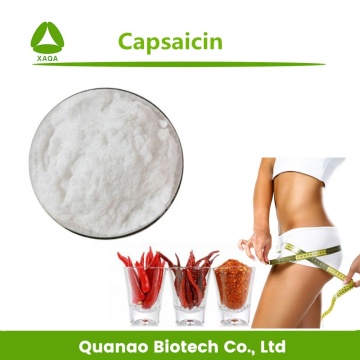 Medicine Use Chili Pepper Extract Capsaicin 95%-99% Powder