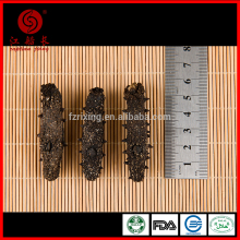 dry sea cucumber