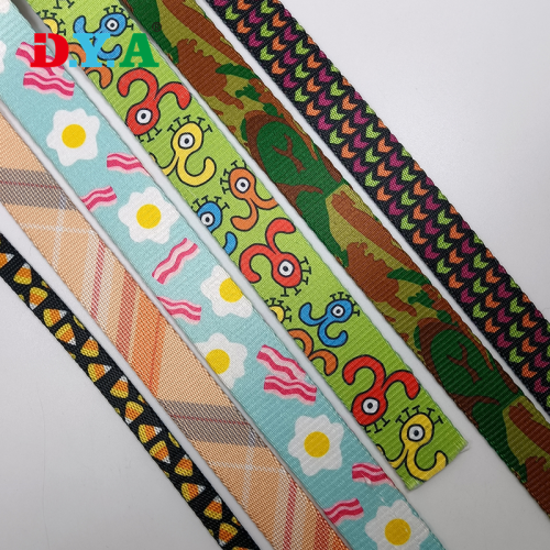 Customize Pattern Nylon/Polyester Webbing for Dog Leash