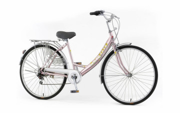 Women Attractive Price City Bike with Basket