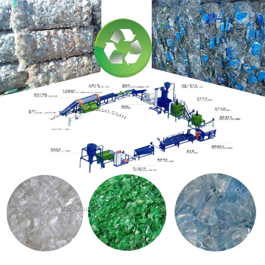 Pet Recycling 1