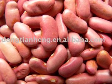 light red kidney bean