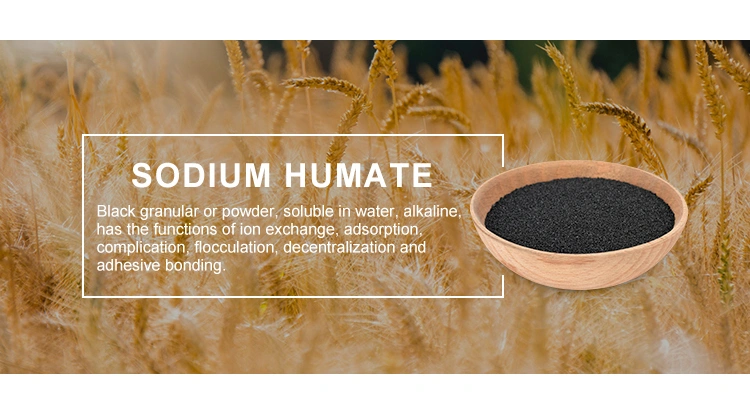 X-Humate Effectively Remove Moss Sodium Humate Powder for Animals Feed