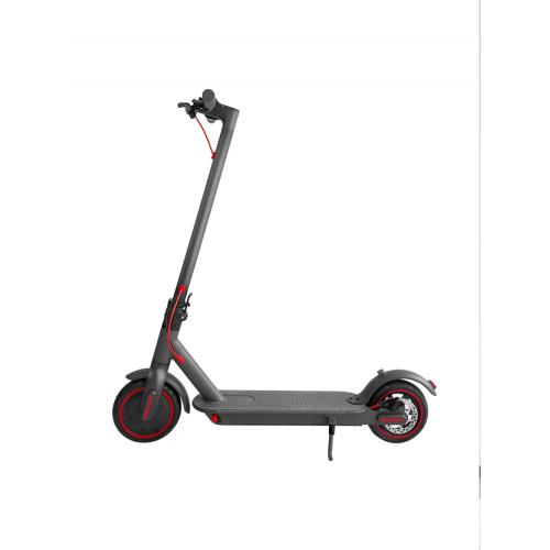Anti-Shake Bike Phone Mount for Scooter