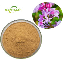 Natural Bulk Clove Extract