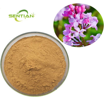 Natural Bulk Clove Extract