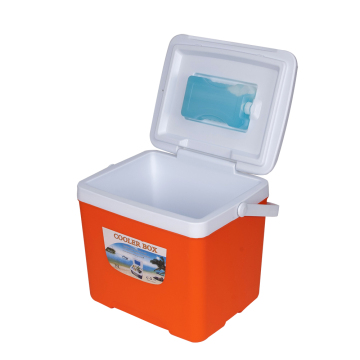 Marine Refrigerators and Coolers for Drink Storage and Fishing