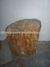 polished petrified wood stone