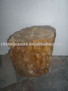 polished petrified wood stone