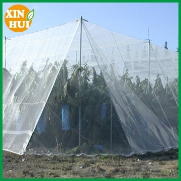 HDPE hail protection net plants protection net