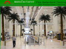 New style Preserved palm Tree/palm trees used natural barks