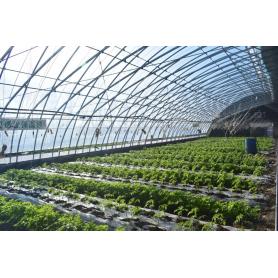 Greenhouse à énergie solaire