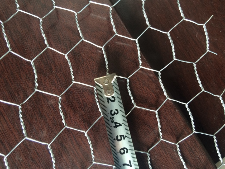 Hot Dipped Galvanized Hexagonal Wire Mesh