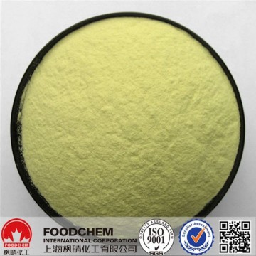 High Quality BP USP FCC Folic Acid In Bulk