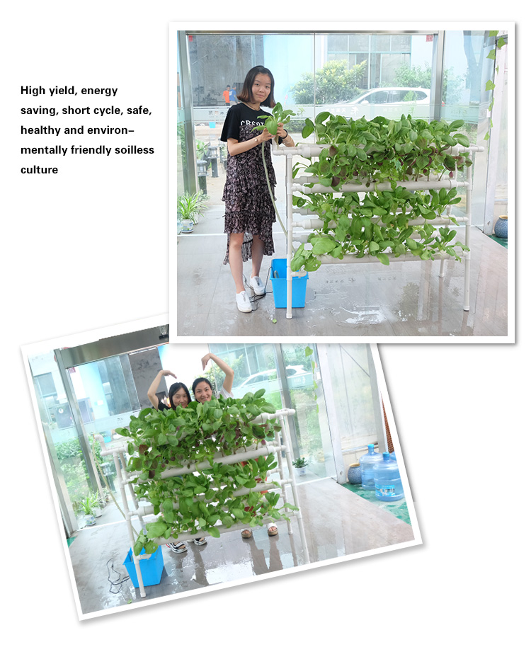 hydroponic system