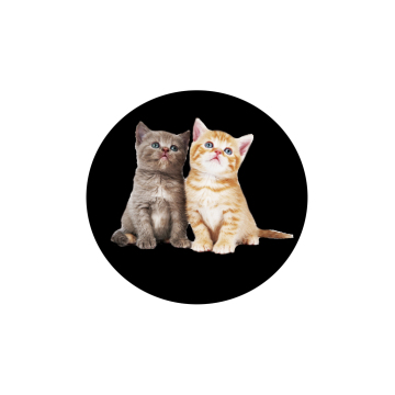 Custom Outdoor Advertising Image Building Projector Logo Gobo Card