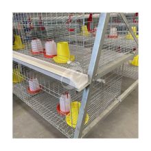 A Or H Frame Automatic Broiler Chicken Cage Galvanized for Sale in Africa