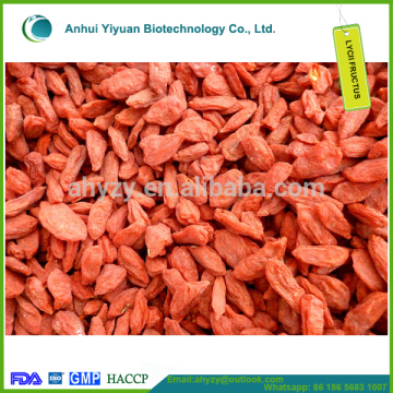 Lycii fructus and gouqizi