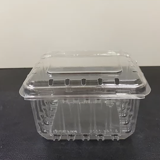 Disposable Plastic Clamshell