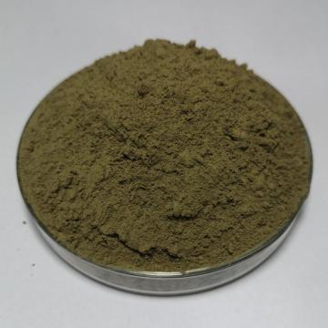 Buckwheat Organic Green Juice Powder