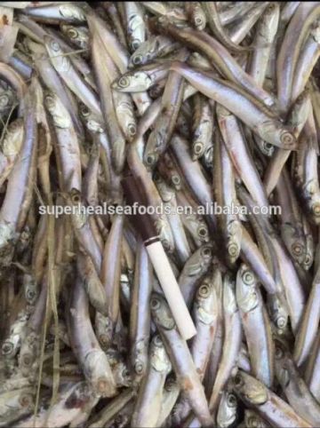 Frozen anchovy 8-12cm for fish meal BQF