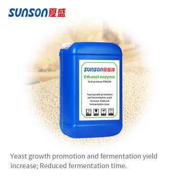 Acid protease enzyme for ethanol industry Sunson