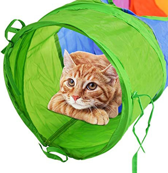 Jouet pour chat09101801 Cat Play Toy09101801