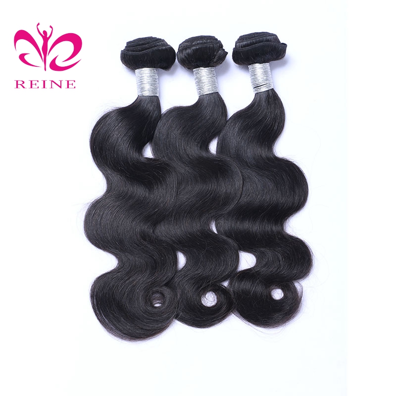 REINE 100% Full Cuticle Aligned Virgin Body Wave Hair bundle Unprocessed Human Hair virgin Malaysia hair