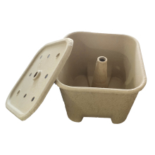 Biodegradable Disposable Paper Pulp Charcoal Packaging Box