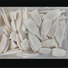 Frozen Squid Illex Argentinus Tubes