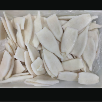 Frozen Squid Illex Argentinus Tubes