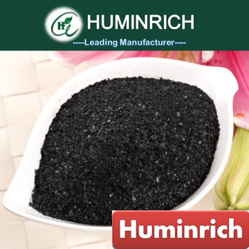 Huminrich Positive Effect On Plant Dna And Rna Kelp Extract Best Fertilizer For Vegetables