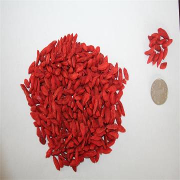 Low Pesticide Hot sale  Dried goji berry/wolfberry