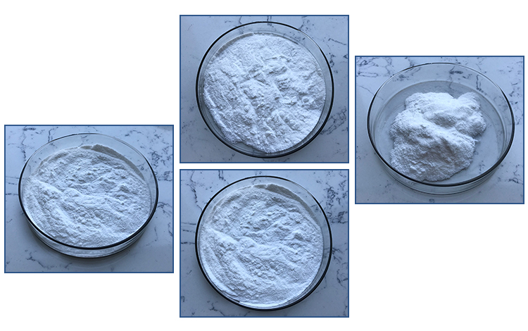 Hot Sell Bulk Stock Boularidii Saccharomyces Boulardii