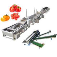 Vegetable Processing Line: Washer, Cleaner, Dryer, Sorter for Tomatoes & Cherry Tomatoes