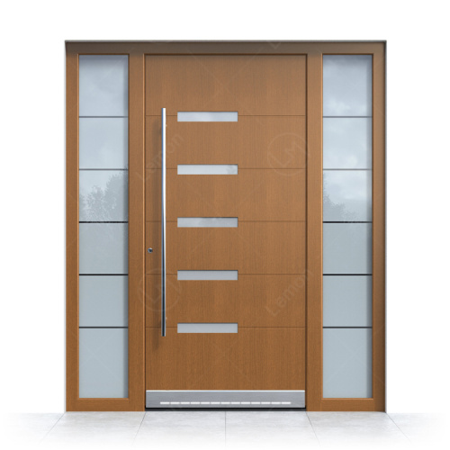 Modern Metal Stainless Steel Front Main Exterior Door