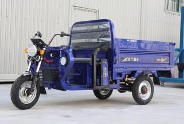 Passenger Use Mini 3 Wheels Electric For Adults