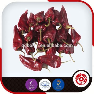 high quality good look red chili