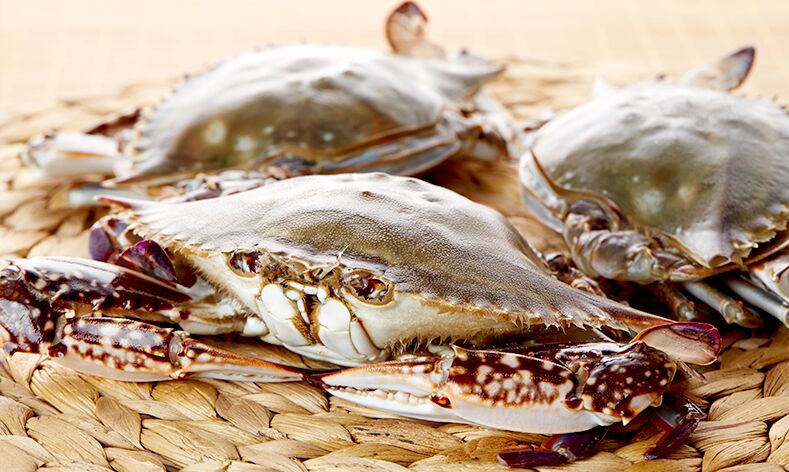 Frozen Seafood Half Cut Swimming Crab