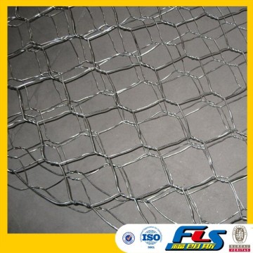 Anping Hot Sale Chicken Wire Mesh(Factory Price)