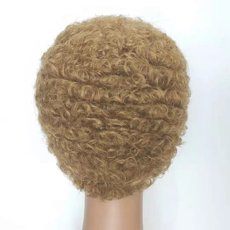 Machine Made No Lace  kinky Afro  Curly  Natural Human Hair Short Cut Wigs