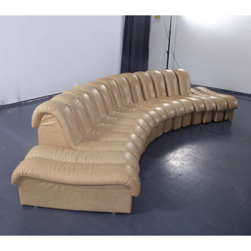 DS-600 Leather Modular Sofa
