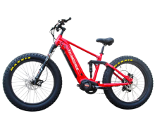 Snow Bike: Folding Electric Bicycles - 1000w Electric Bicycles for Sale